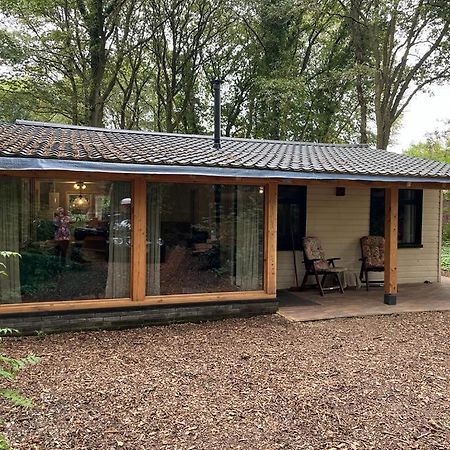 Huisje In Het Bos Zuidlaren Kültér fotó