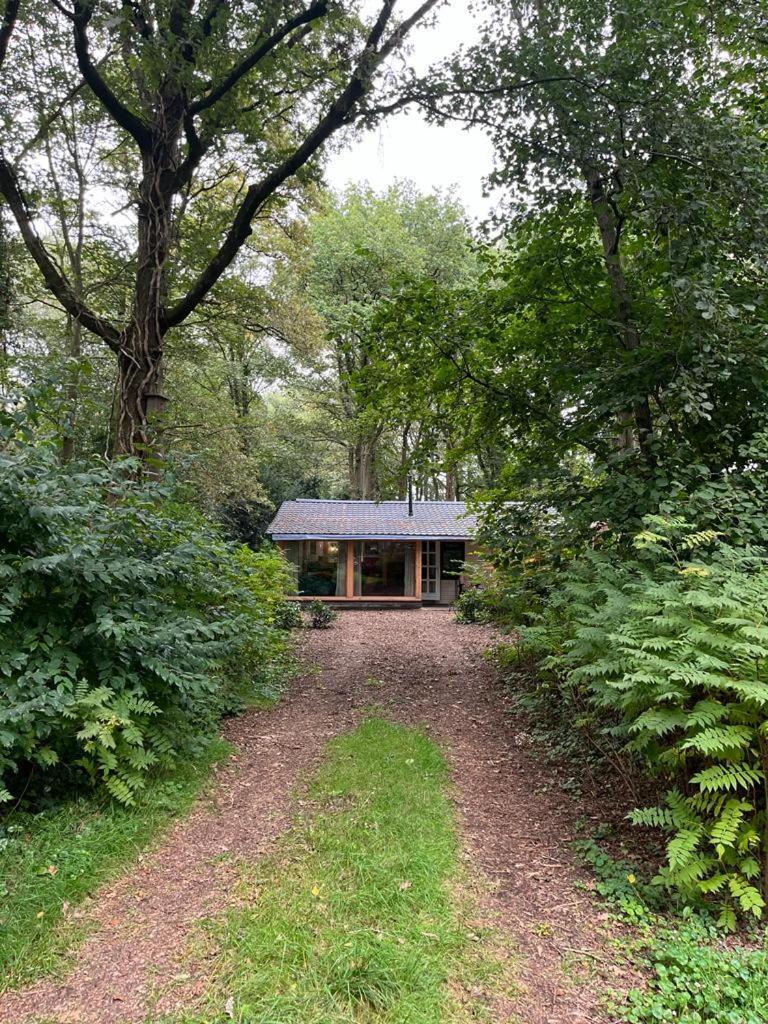 Huisje In Het Bos Zuidlaren Kültér fotó