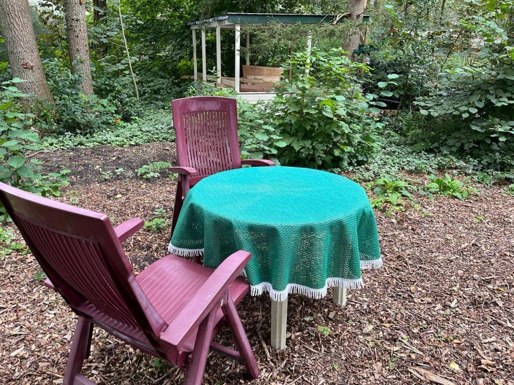 Huisje In Het Bos Zuidlaren Kültér fotó